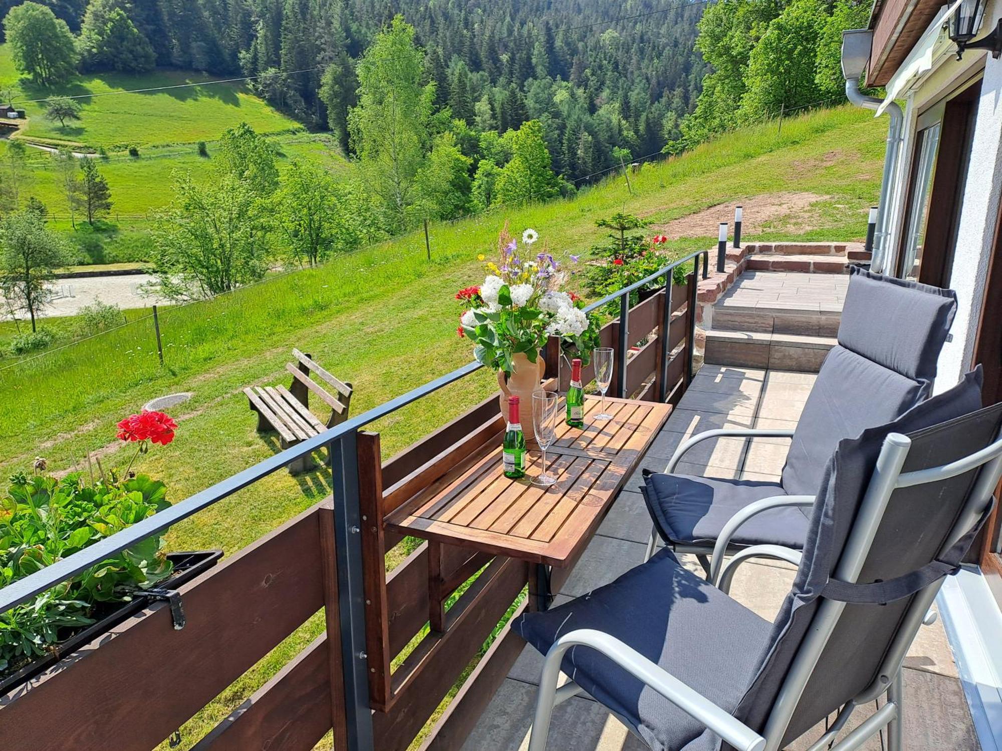 Ferienhaus Enzquelle 恩可洛斯特勒 客房 照片